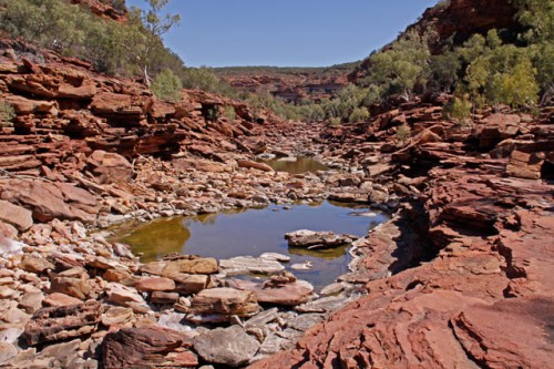 Gorge-ous